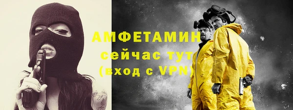 трава Корсаков