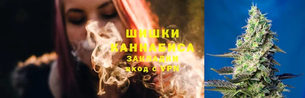 скорость Бородино
