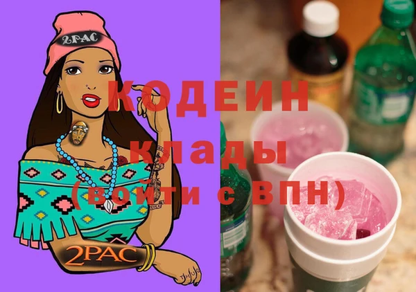 скорость Бородино