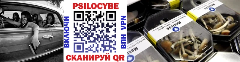 KRAKEN зеркало  Дальнегорск  Псилоцибиновые грибы мицелий  закладка 